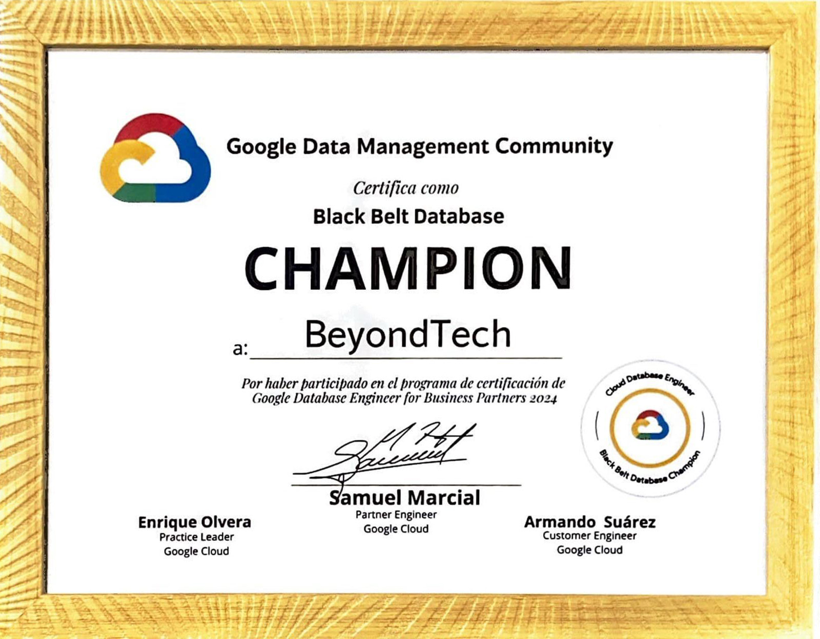 Black Belt Database Champion